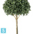 Лавр шар Максима искусственный TREEZ Collection 90d 170h