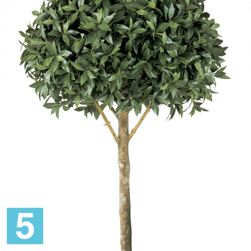 Лавр шар Максима искусственный TREEZ Collection 90d 170h
