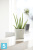 Настольное Кашпо Ecopots Amsterdam, светло-серое 20-d, 18-h