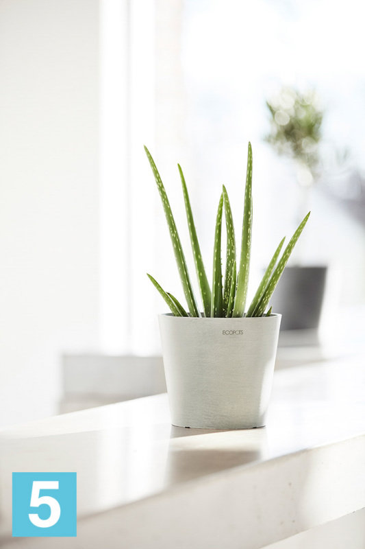Настольное Кашпо Ecopots Amsterdam, светло-серое 20-d, 18-h