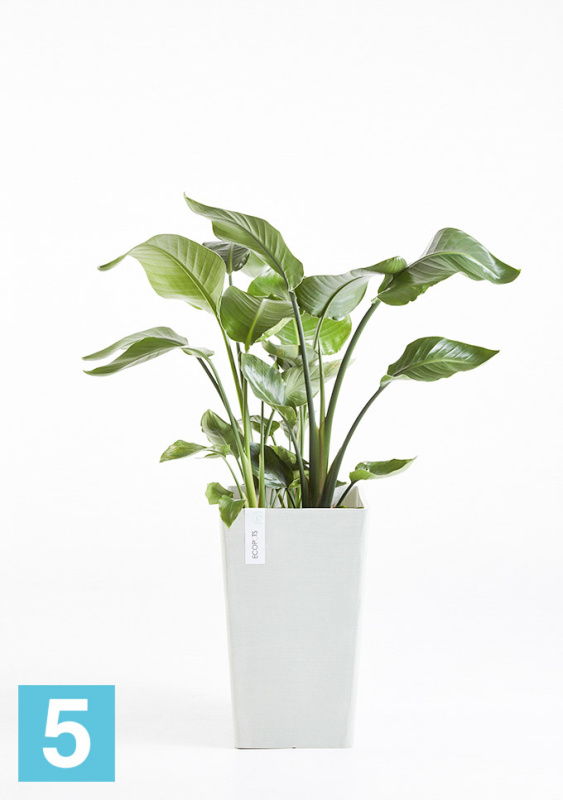 Высокое кашпо Ecopots Rotterdam-MH, светло-серое 30-l, 30-w, 50-h