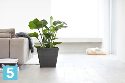 Кашпо с автополивом Ecopots Rotterdam, антрацит 40-l, 40-w, 35-h