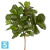 Фикус искусственный TREEZ Collection Лирата Style на штамбе 220h Фикус искусственный TREEZ Collection Лирата Style на штамбе 220h