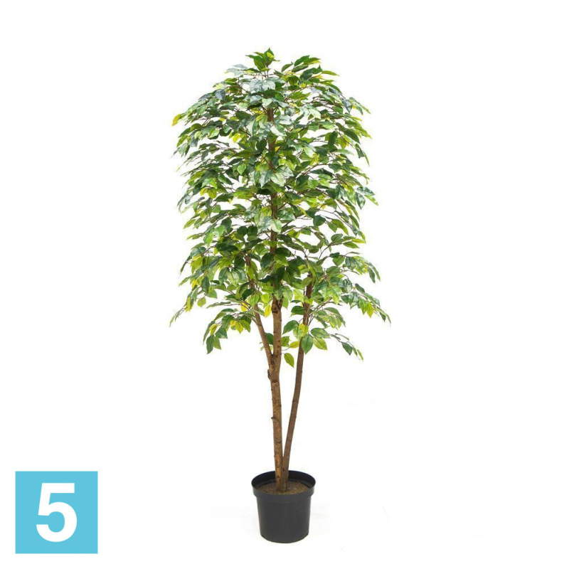Фикус зелёный разноуровневый искусственный Alseed, h-180 см., латекс