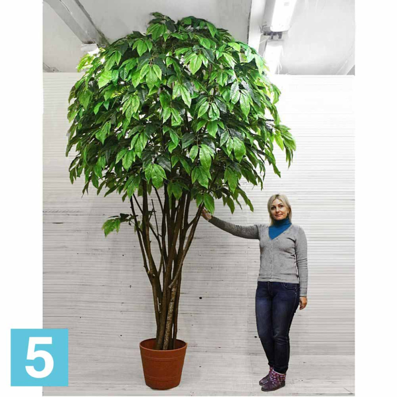 Фикус с крупным листом искусственный Alseed, h-350 см.