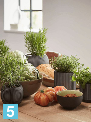 Кашпо Capi nature vase, цилиндр groove ii, черное d-11 h-12 см в #REGION_NAME_DECLINE_PP#