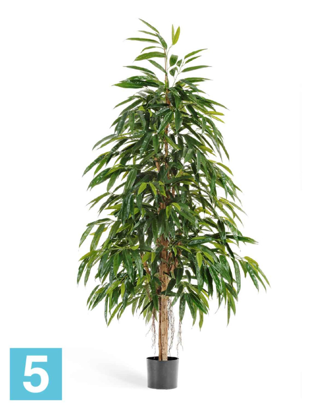 Лонгифолия Роэйчерел искусственная TREEZ Collection 180h