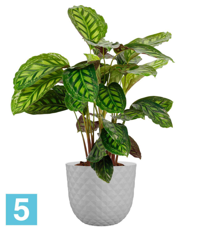 Напольное кашпо Artevasi Havana Tropical, светло-серое 40-d, 33-h