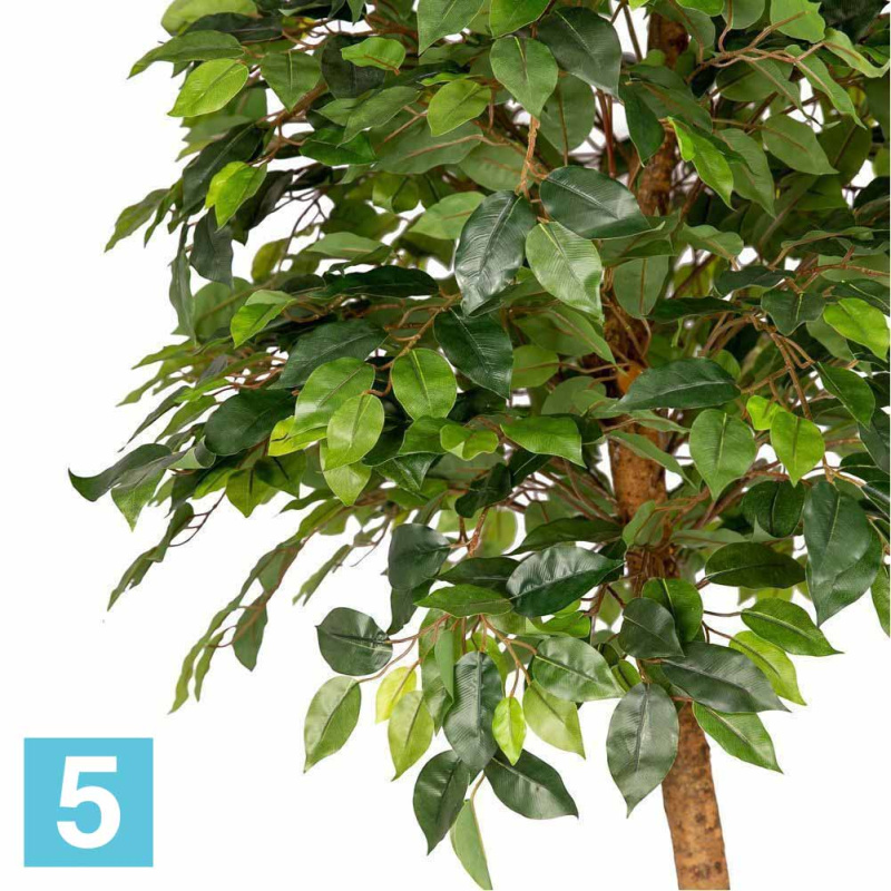 Фикус искусственный Alseed, h-160 см., латекс