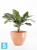 Напольное кашпо Ecopots Antwerp, терракотовое 50-d, 40-h