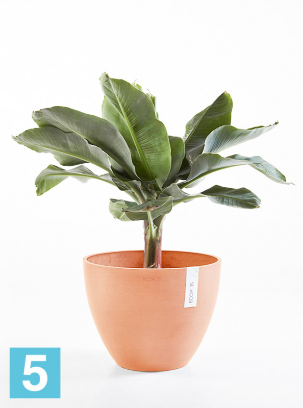 Напольное кашпо Ecopots Antwerp, терракотовое 50-d, 40-h