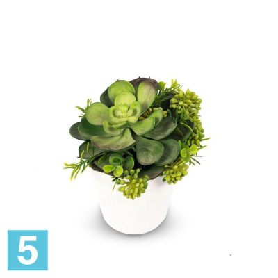 Суккулент искусственный Alseed, х1, в кашпо, d-17 см.
