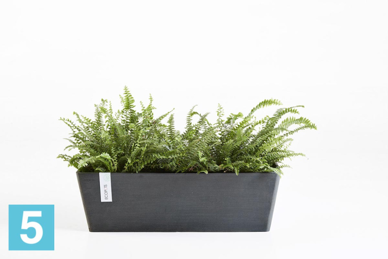 Прямоугольное кашпо Ecopots Bruges, антрацит 65-l, 20-w, 20-h