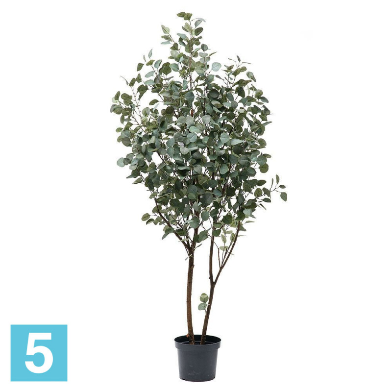 Эвкалипт искусственный Alseed, h-190 см.