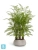 Кашпо TREEZ Effectory Organic Низкая чаша, белый песок 39-d, 21-h