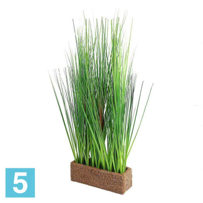 Осока искусственная Alseed, h-60, эконом, в кокосовом боксе, 25*8*8