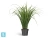 Искусственная трава Лемонграсс зелёная в горшке TREEZ Collection 70h