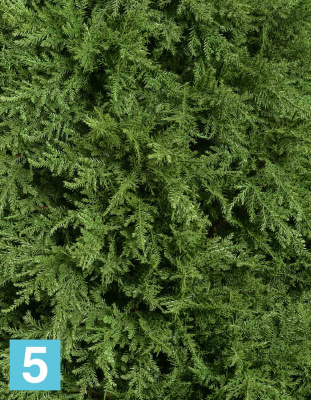 Кипарис Тауэр искусственный TREEZ Collection уличный новый 195h в #REGION_NAME_DECLINE_PP#