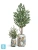 Кашпо TREEZ Effectory Savage Garden Design-ваза Wild, белое 43-d, 62-h