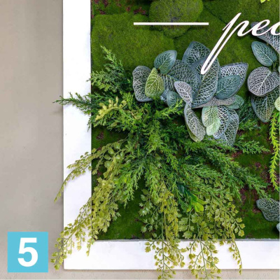 Фитокартина в белой крашенной раме искусственная Alseed, 1м*1м