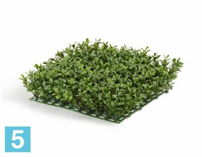 Искусственный газон Самшитовый Новый (пластик) TREEZ Collection в #REGION_NAME_DECLINE_PP#