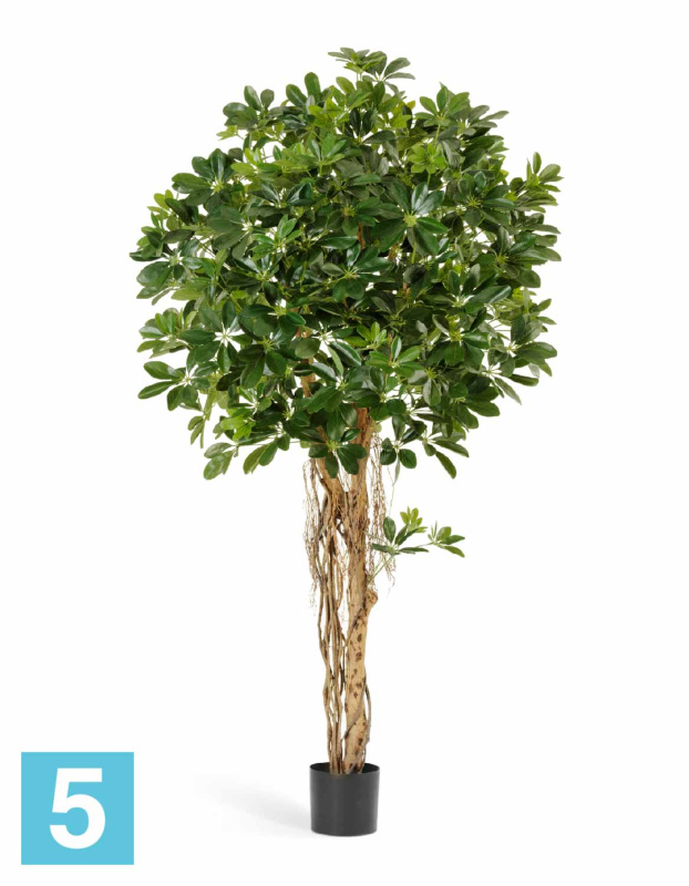 Шеффлера искусственная TREEZ Collection зонтичная зеленая 140h
