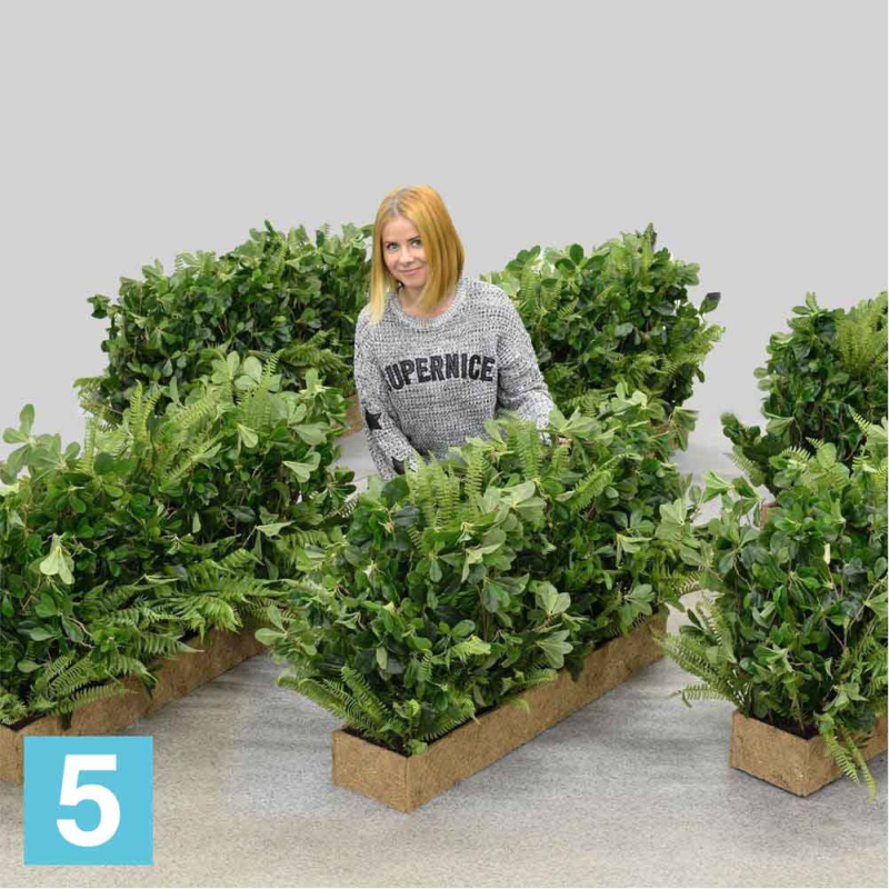 Шеффлера с нефролеписом в кок.боксе искусственная Alseed, 100х23х12