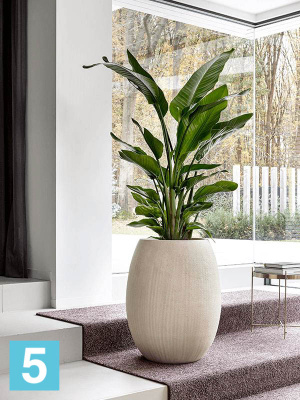 Кашпо Polystone coated plain, шар natural, со вставкой d-52 h-68 см