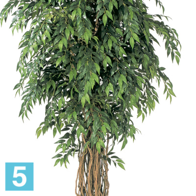 Фикус Френч искусственный TREEZ Collection Лиана Де Люкс 210h в #REGION_NAME_DECLINE_PP#