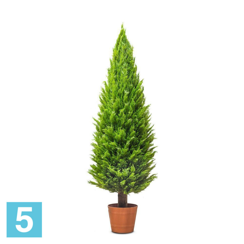 Кипарис искусственный Alseed, h-300  см.