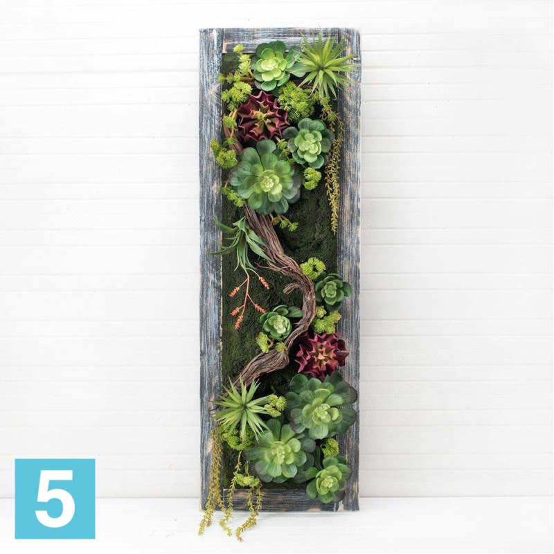Фитокартина с суккул. в дер.раме искусственная Alseed, зел, 30*90