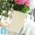 Высокое кашпо Prosperplast COUBI SQUARE HIGH, кремовое 29-l, 29-w, 53-h