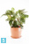 Напольное кашпо Ecopots Sankara, терракотовое 40-d, 35-h