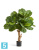 Фикус искусственный TREEZ Collection Лирата Форест 115h