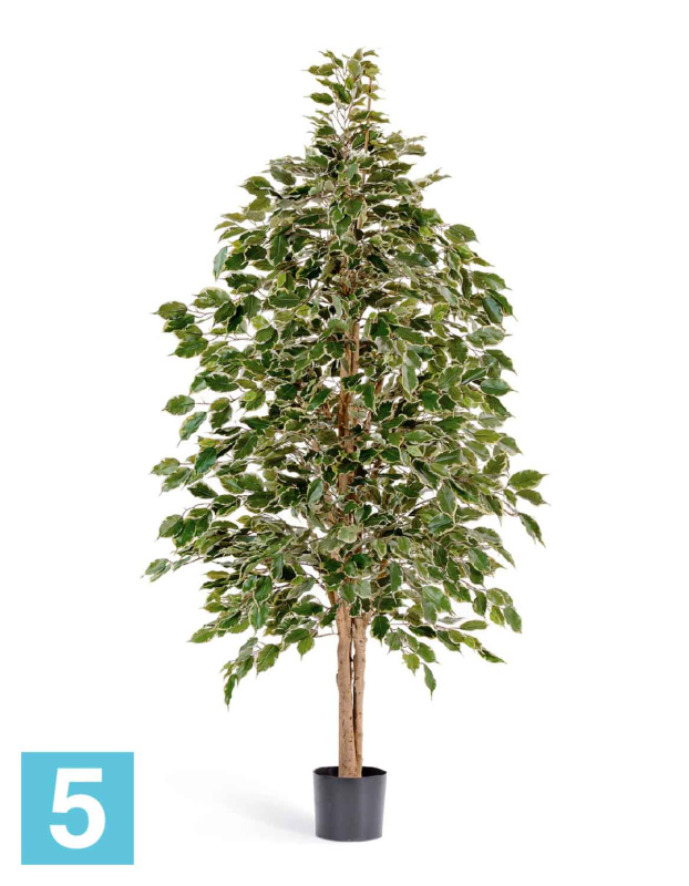 Фикус искусственный TREEZ Collection Бенджамина Пестрый "Натуральный" 180h