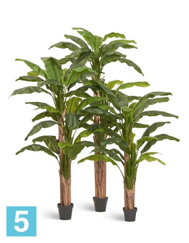 Искусственное банановое дерево (Sensitive Botanic) TREEZ Collection 280h