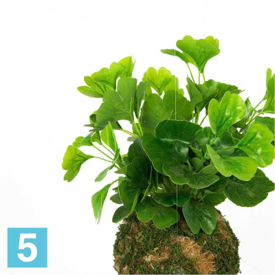 Кокедама искусственная Alseed, d-15 "Гинкго", латекс