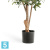 Олива искусственная TREEZ Collection Твист с плодами 150h