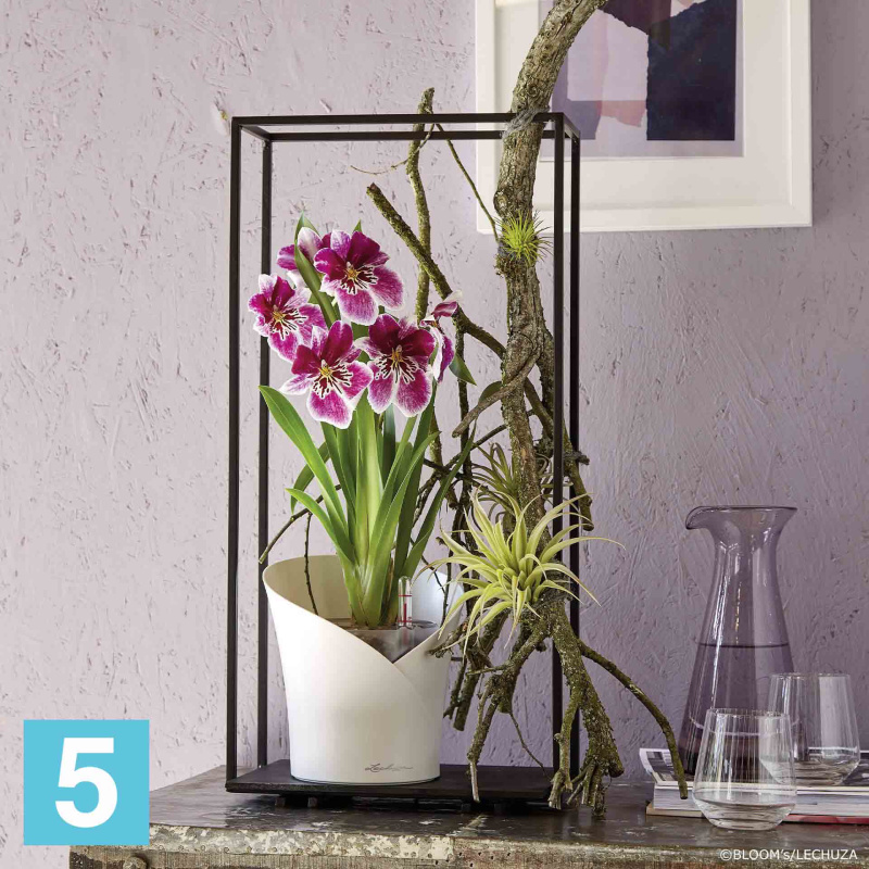Lechuza Orchidea кашпо, белое 18-d, 20-h