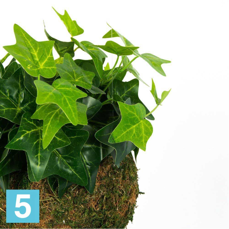 Кокедама искусственная Alseed, d-15 "Хедера", латекс