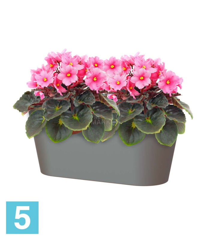 Настольное кашпо Artevasi Porto Plant Box, антрацит 30-l, 14-w, 13-h