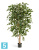 Фикус искусственный TREEZ Collection Бенджамина Нитида 180h