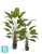 Искуственная стрелиция Traveller (Sensitive Botanic) TREEZ Collection 180h