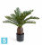Пальма Цикас искусственная TREEZ Collection 65h