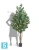 Искуственный Эвкалипт серебристый многоствольный TREEZ Collection 200h