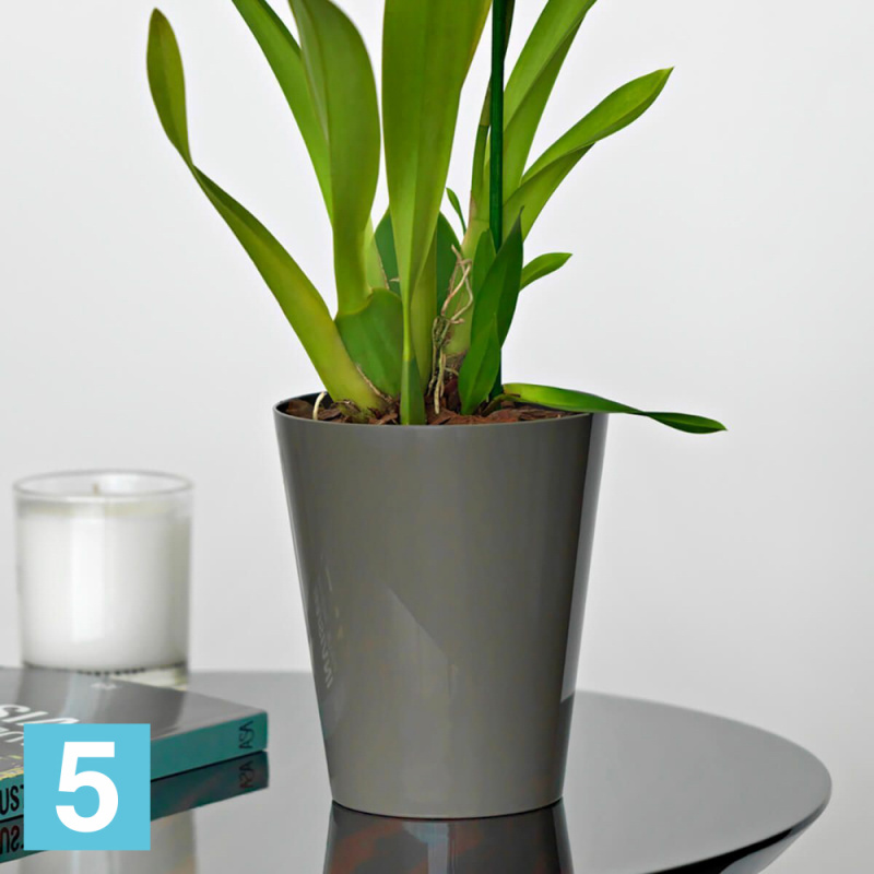 Настольное кашпо Artevasi Porto Orchid, антрацит 12-d, 15-h