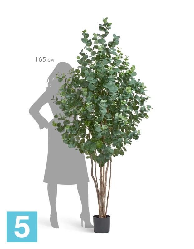 Искуственный Эвкалипт серебристый многоствольный TREEZ Collection 200h