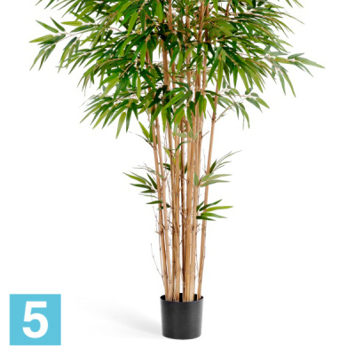 Бамбук "Натуральный" искусственный TREEZ Collection 150h в #REGION_NAME_DECLINE_PP#