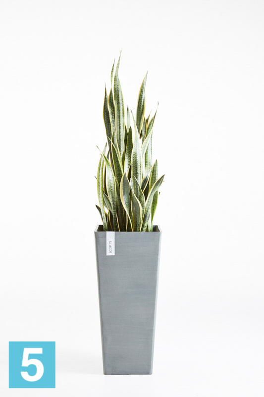 Высокое кашпо Ecopots Rotterdam-H, серое 32-l, 32-w, 70-h