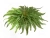 Искусственный Папоротник Бостон Новый натуральный зеленый TREEZ Collection 50-d, 20-h